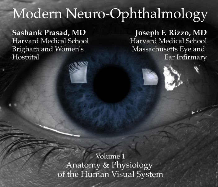 Bekijk Modern Neuro-Ophthalmology: Anatomy & Physiology of the Human Visual System op Sashank Prasad & Joseph Rizzo