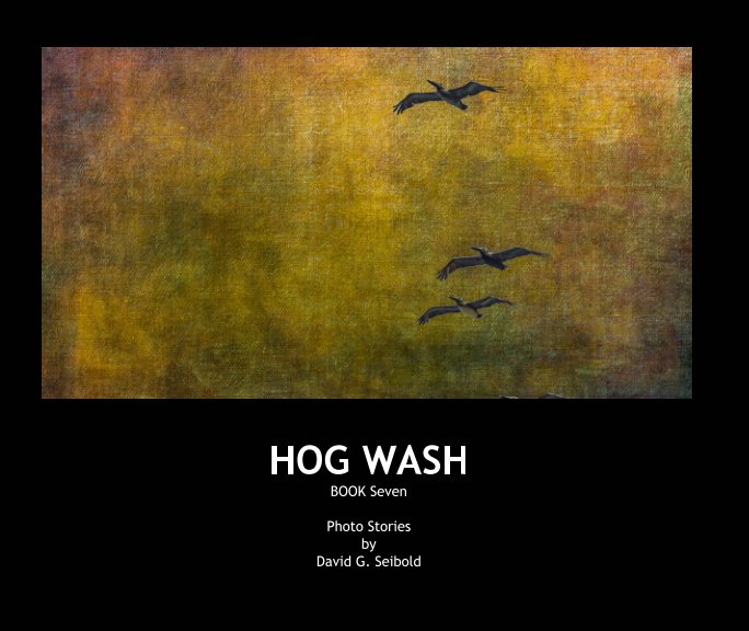 Visualizza Hog Wash di David G. Seibold