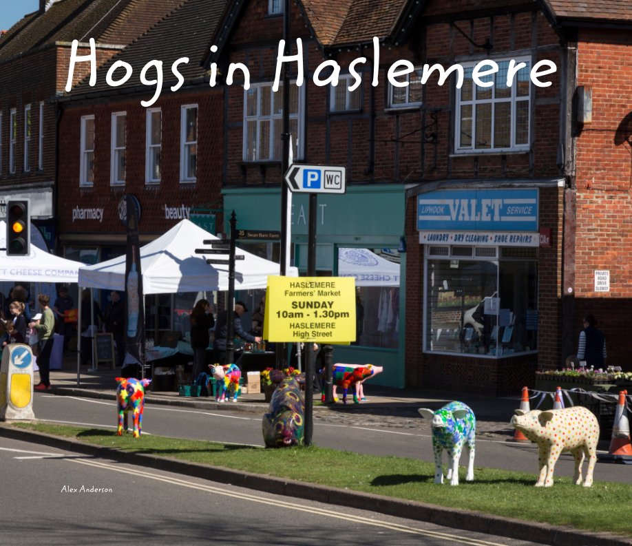 Visualizza Hogs in Haslemere di Alex Anderson