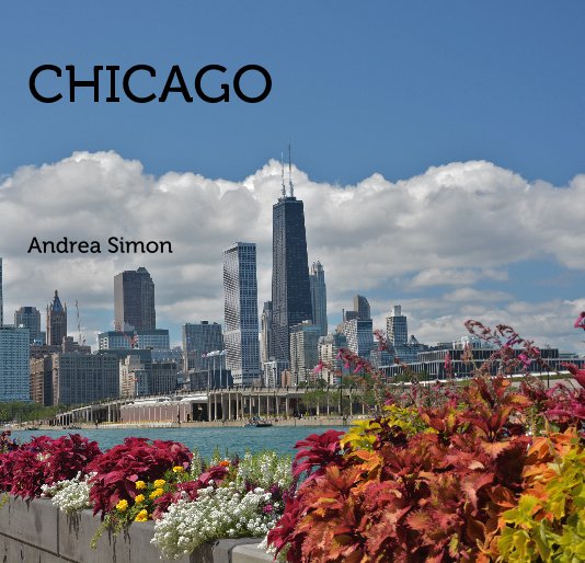 View CHICAGO Andrea Simon by Andrea Simon
