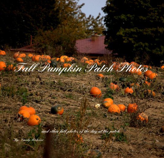 Bekijk Fall Pumpkin Patch Photos op By: Candy Michener
