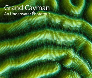 Grand Cayman book cover