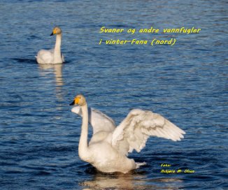 Svaner og andre vannfugler i vinter-Fana (nord) book cover