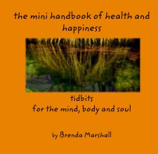 the mini handbook of health and happiness      tidbits for the mind, body and soul book cover