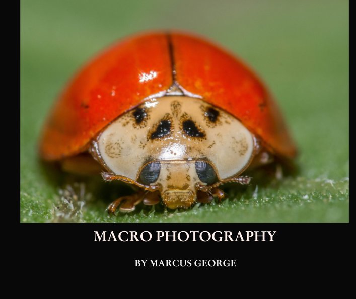 Visualizza MACRO PHOTOGRAPHY BY MARCUS GEORGE di MARCUS GEORGE