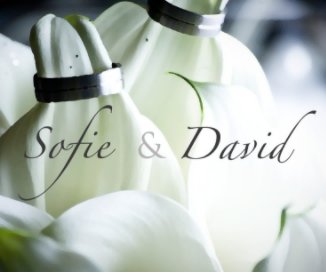 Sofie&David book cover