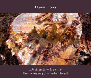 Destructive Beauty book cover