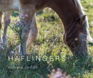 HAFLINGERS book cover