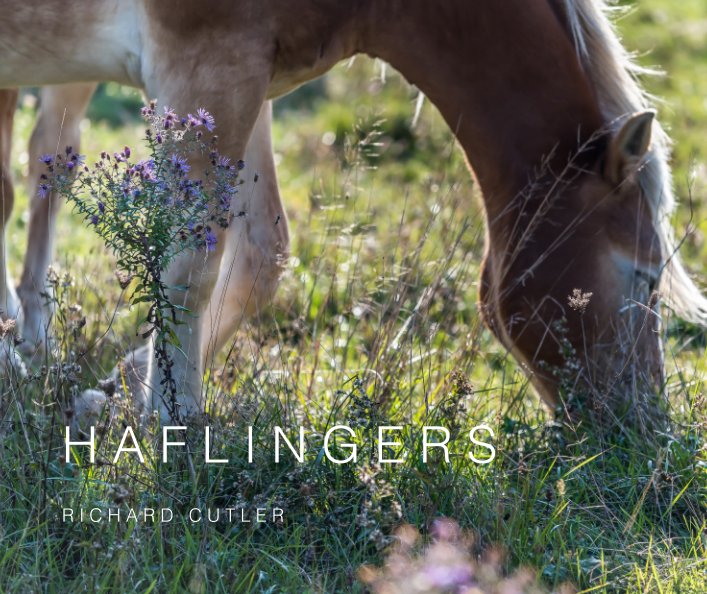 View HAFLINGERS by RICHARD CUTLER