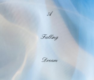 A Falling Dream book cover