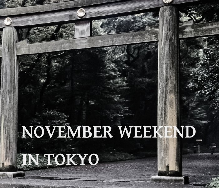 View November Weekend in Tokyo by Jaroslav Ezr