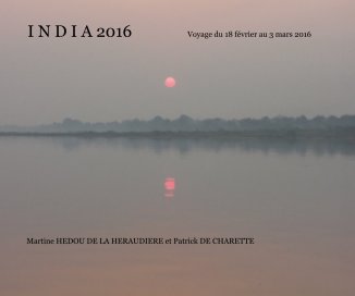 I N D I A 2016 Voyage du 18 février au 3 mars 2016 book cover