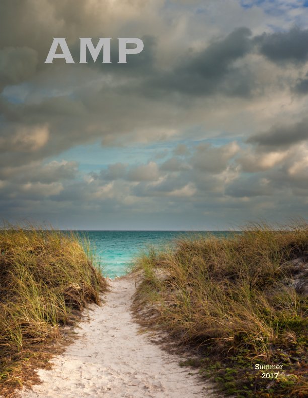 Bekijk AMP - Summer 2017 op Alan McCord