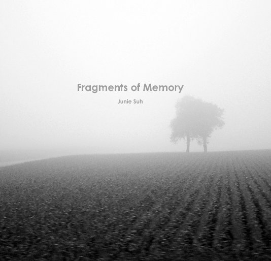 View Fragments of Memory by Junie Suh