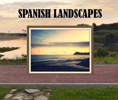 SPANISH LANDSCAPES book cover