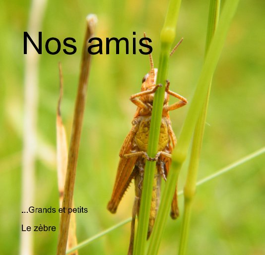 View Nos amis by Le zèbre