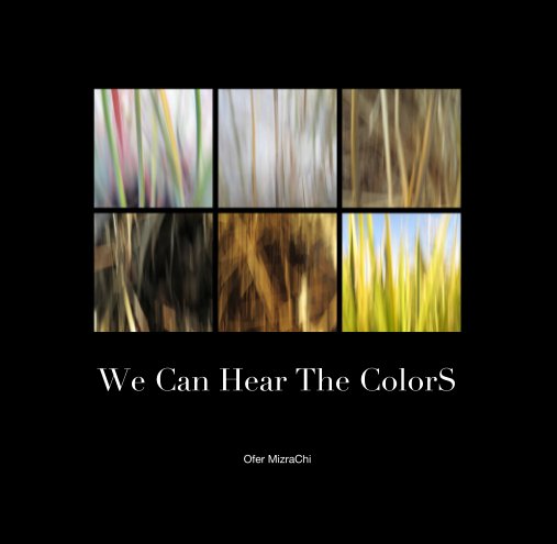 View We Can Hear The ColorS by Ofer MizraChi