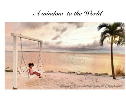 A window  to the World book cover