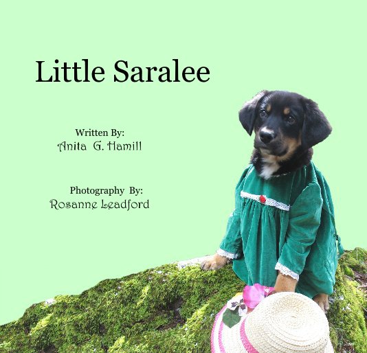 View Little Saralee by Anita G. Hamill