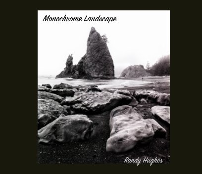 Monochrome Landscape book cover