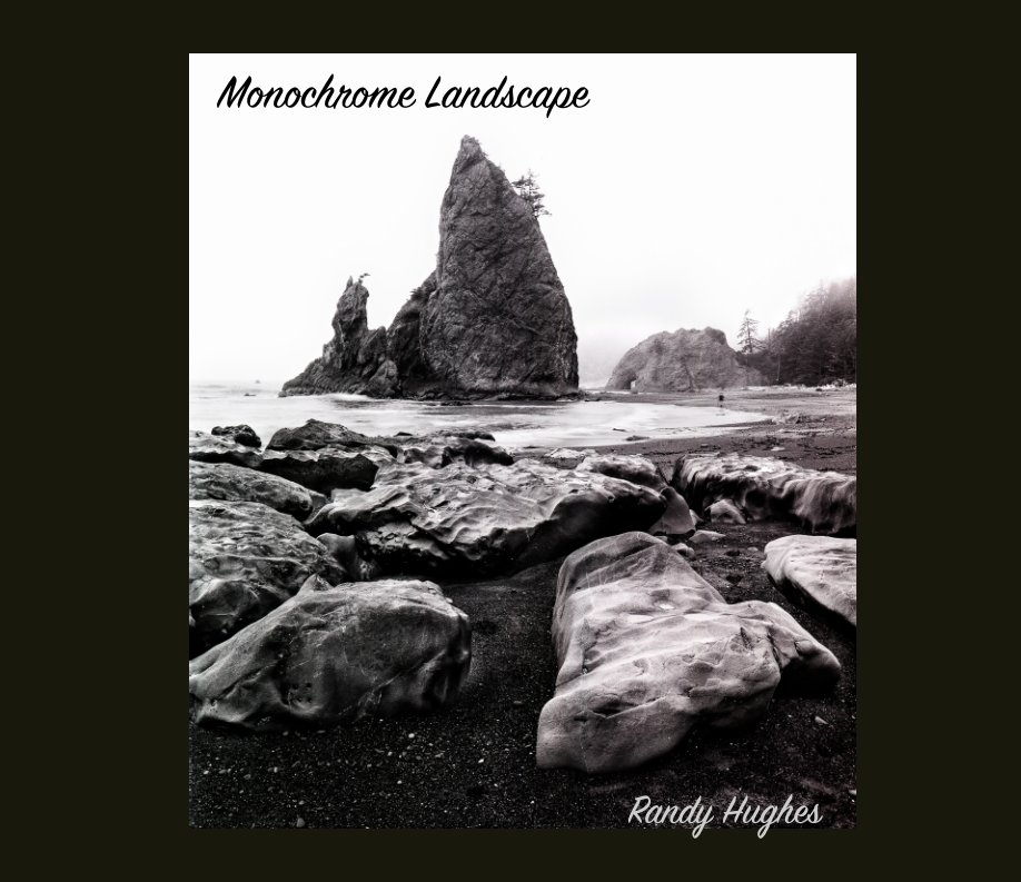 View Monochrome Landscape by Randy Hughes