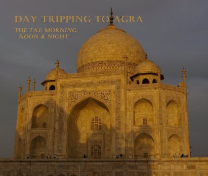 Day Tripping to Agra The taj: morning, Noon & Night book cover