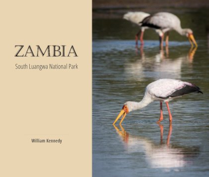 Zambia: South Luangwa National Park book cover