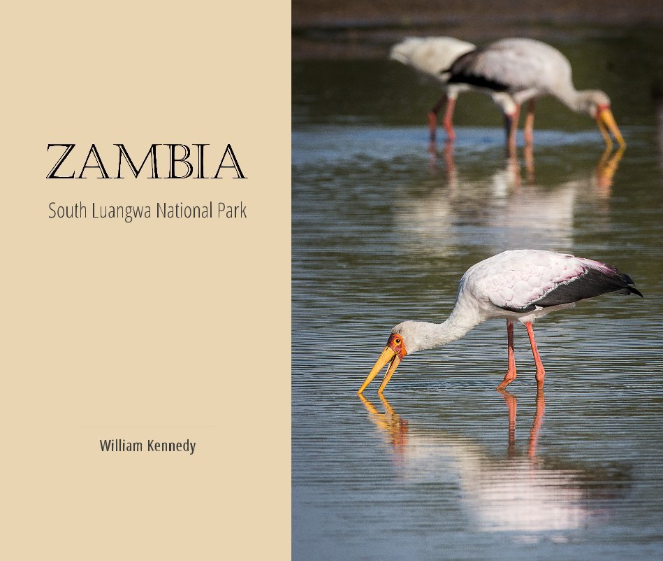 View Zambia: South Luangwa National Park by South Luangwa National Park