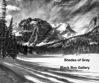 Shades of Gray book cover