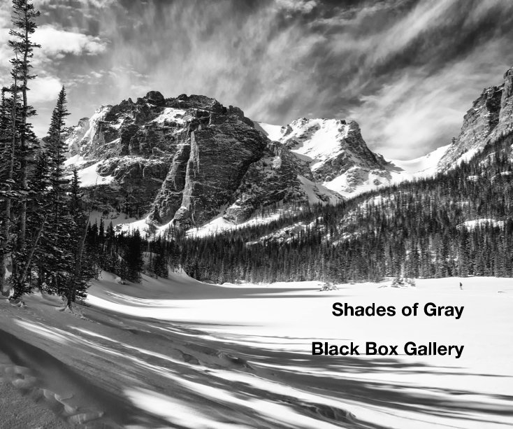 Ver Shades of Gray por Black Box Gallery