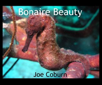 Bonaire Beauty book cover