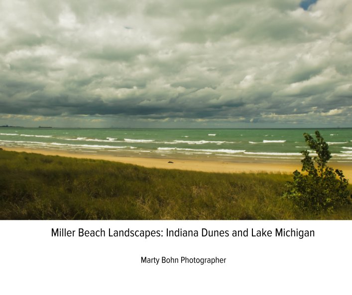 Ver Miller Beach Landscapes: Indiana Dunes and Lake Michigan por Marty Bohn Photographer