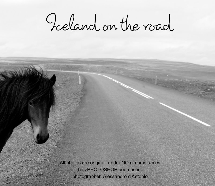 View iceland on the road by Alessandro d'Antonio