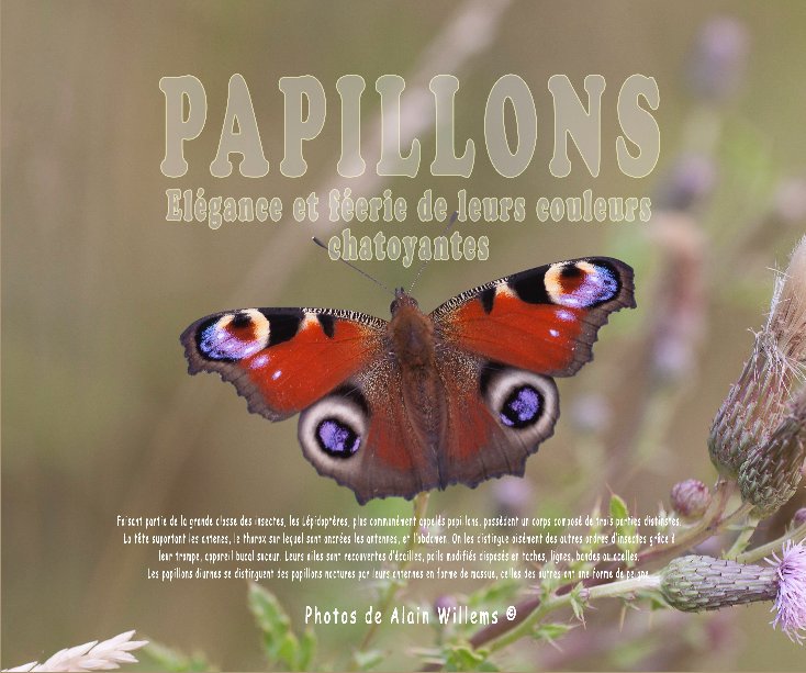 Visualizza PAPILLONS di Alain Willems
