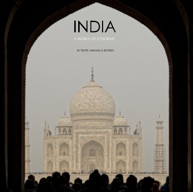 INDIA book cover