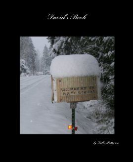 David's Book book cover