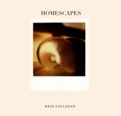 HOMESCAPES book cover
