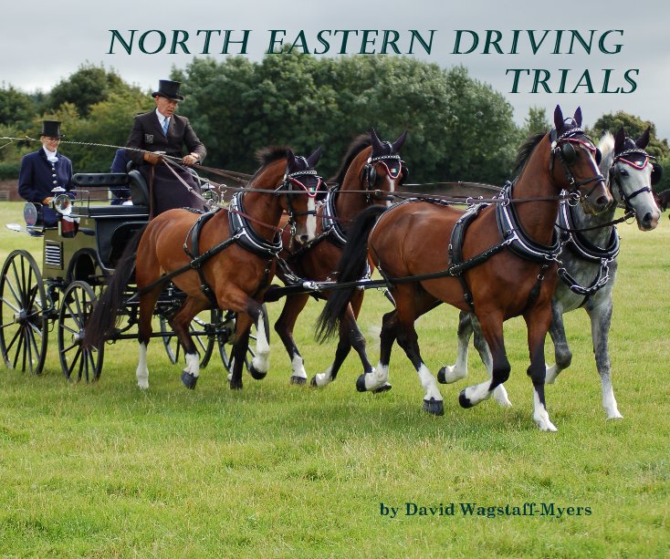View North Eastern Driving Trials by David Wagstaff-Myers