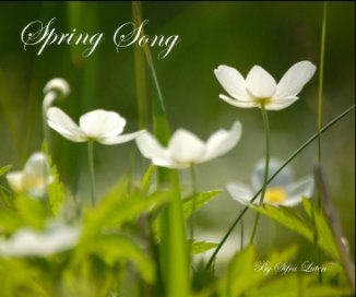 Spring Song book cover