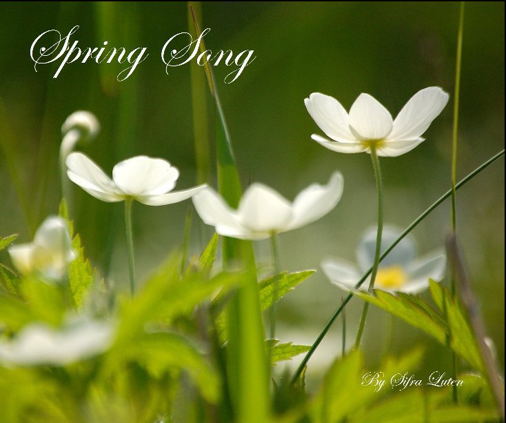 View Spring Song by Sifra Luten