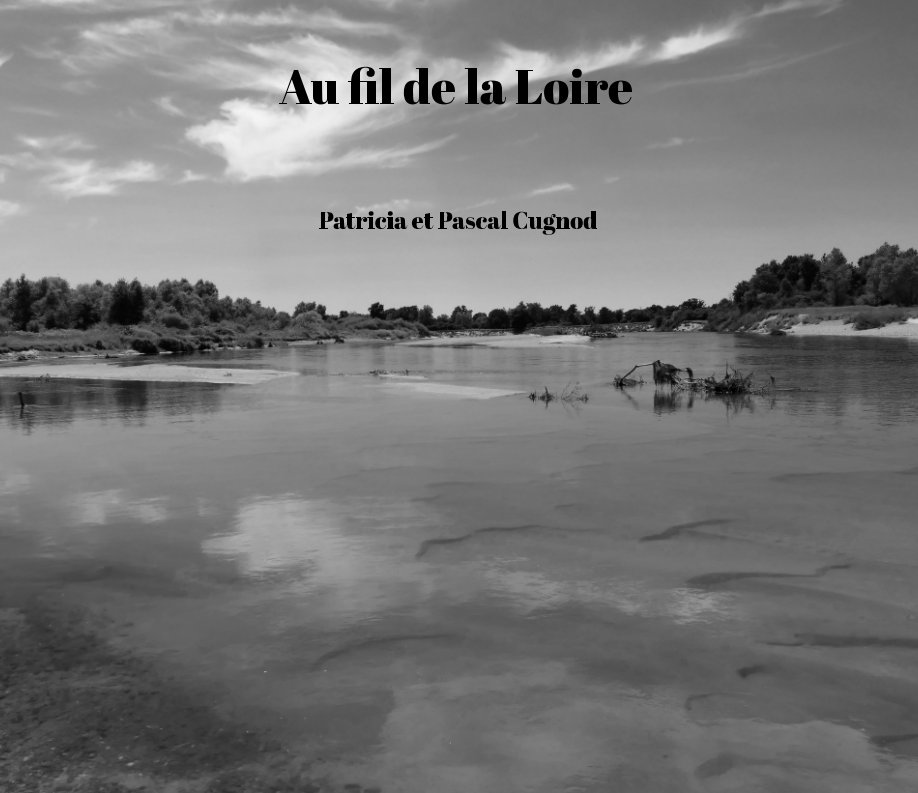 Ver Au fil de la Loire (tome1) por Patricia Cugnod, Pascal Cugnod