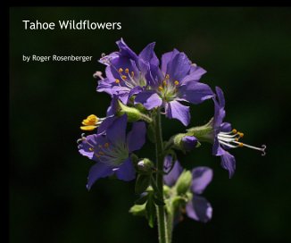 Tahoe Wildflowers book cover
