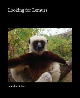 Looking for Lemurs book cover