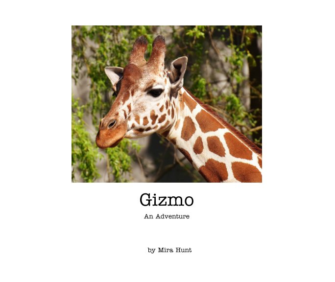 View Gizmo by Mira Hunt