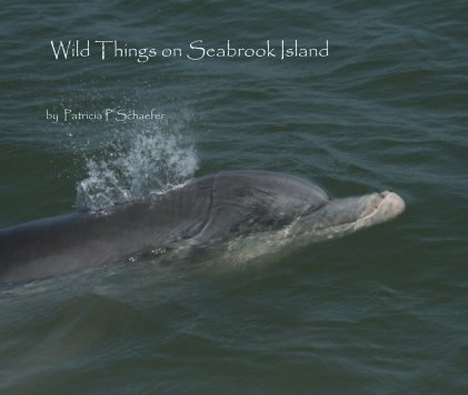 Wild Things on Seabrook Island book cover