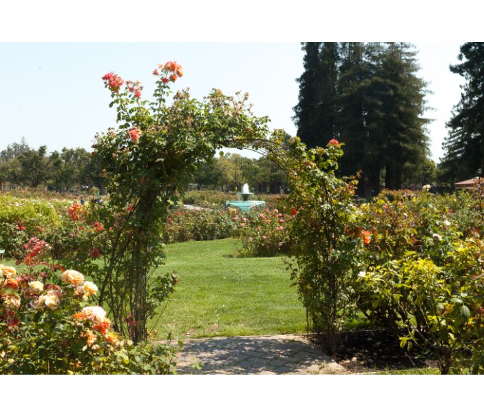 View A Day in the Rose Garden by Andrew Lloyd