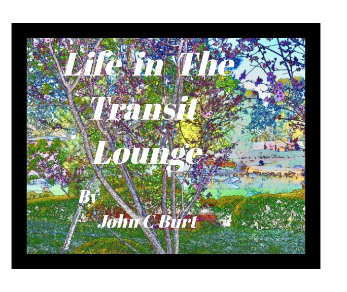 View Life In The Transit Lounge by John C Burt
