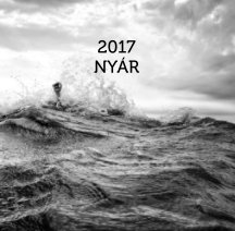 2017 NYÁR book cover
