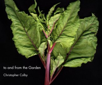 to and from the Garden book cover