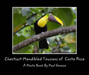 Chestnut-Mandibled Toucans of Costa Rica book cover